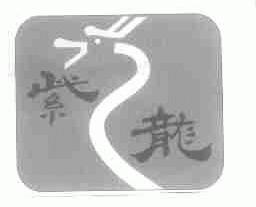 紫龙