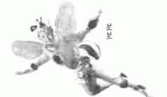 兰兰