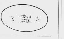 飞龙