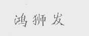 鸿狮发