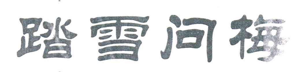 踏雪问梅