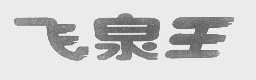 飞泉王
