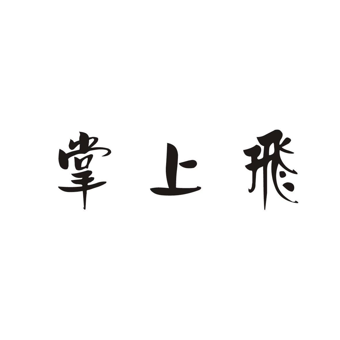 掌上飞