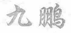 九鹏