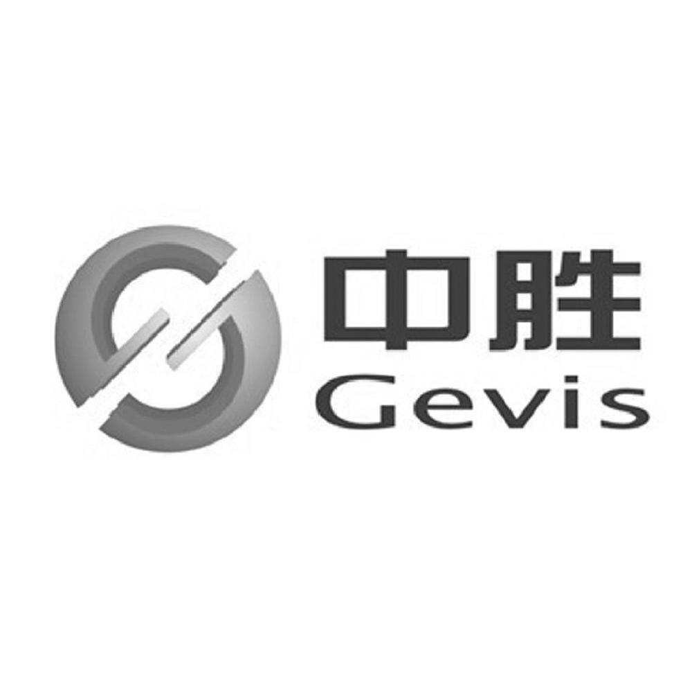 中胜 GEVIS