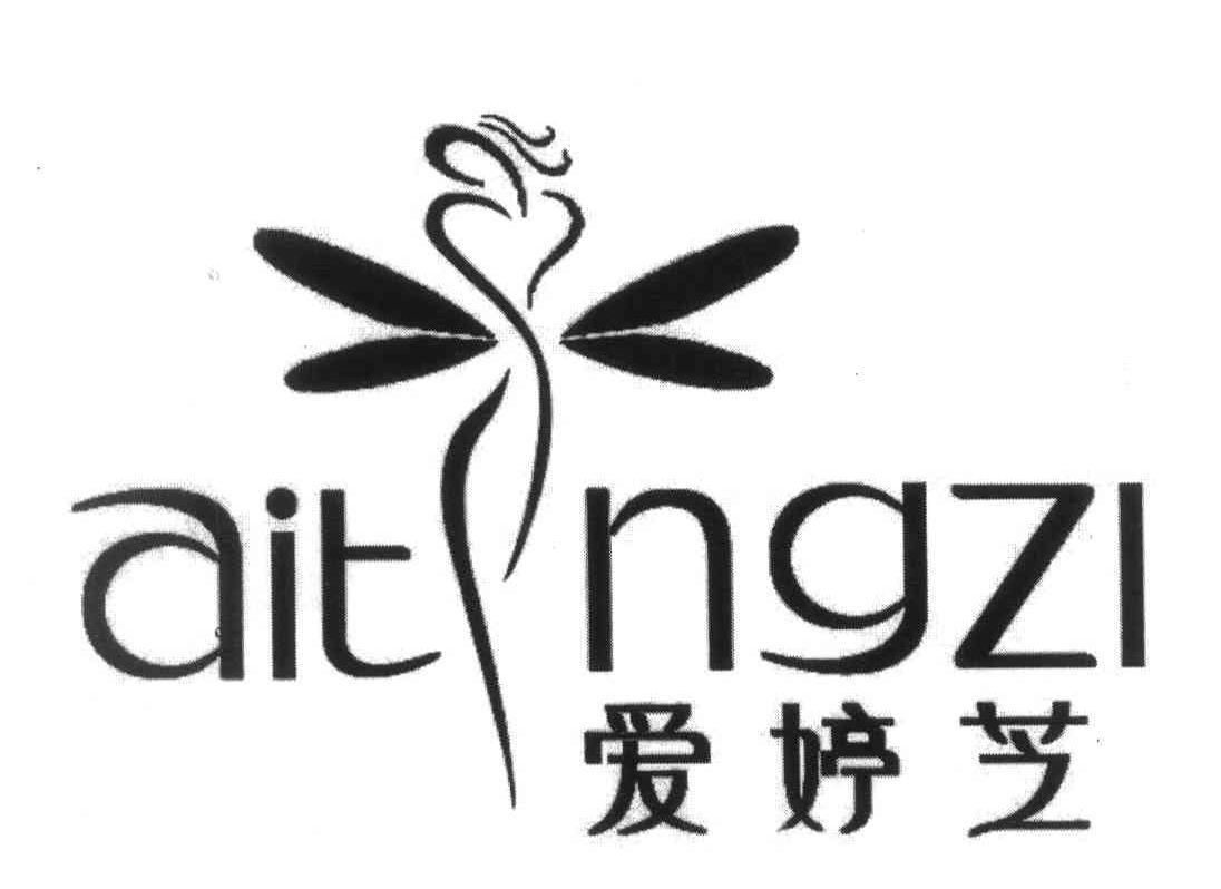 爱婷芝 AITNGZI