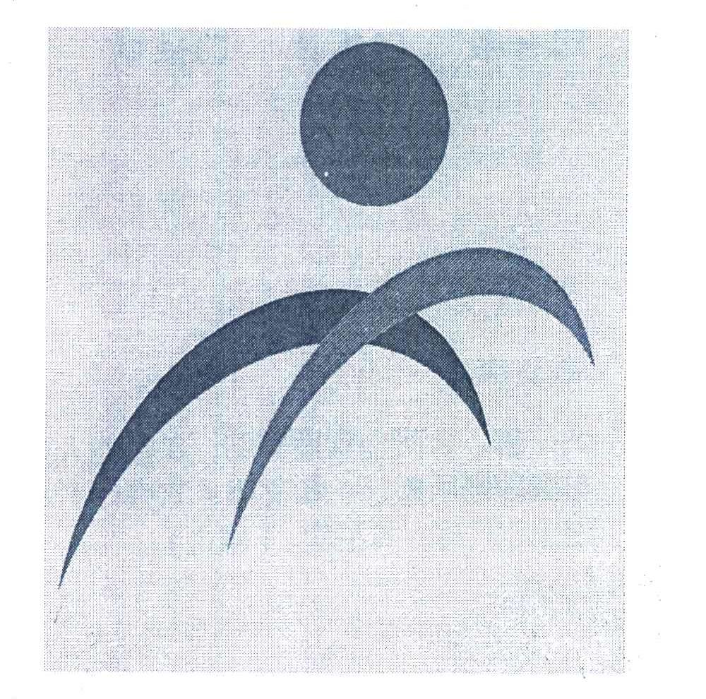 图形