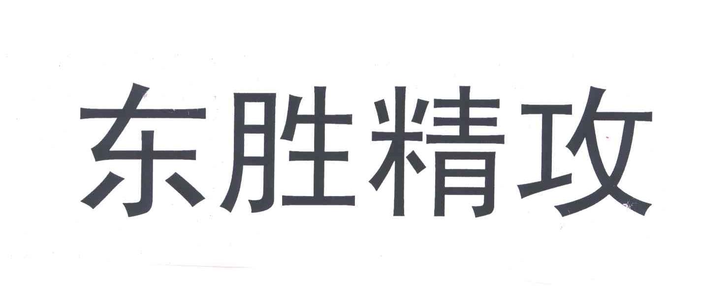 东胜精攻