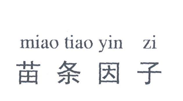 苗条因子