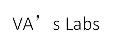 VA'S LABS