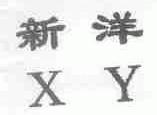 新洋