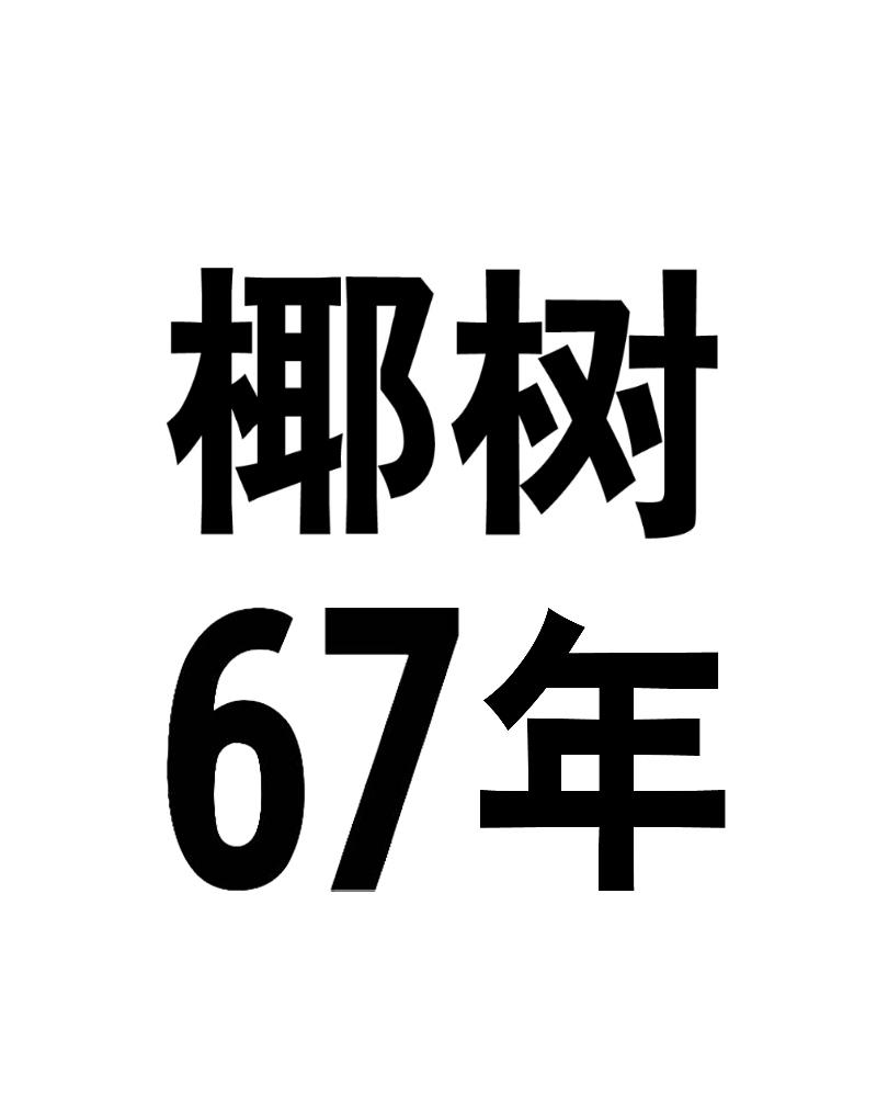 椰树67年