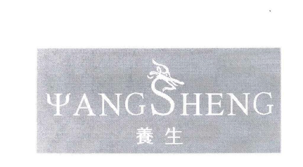 养生