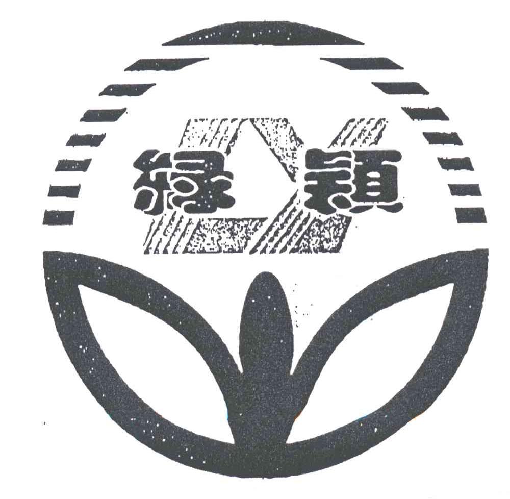 绿颖