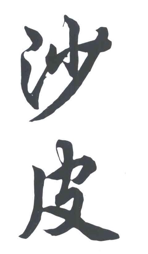 沙皮