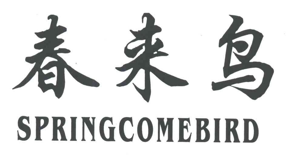 春来鸟 SPRINGCOMEBIRD