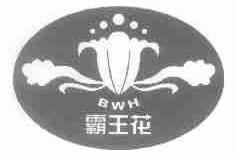 霸王花;BWH