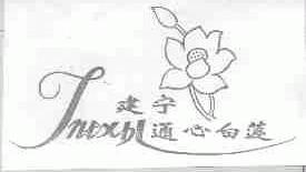 建宁通心白莲