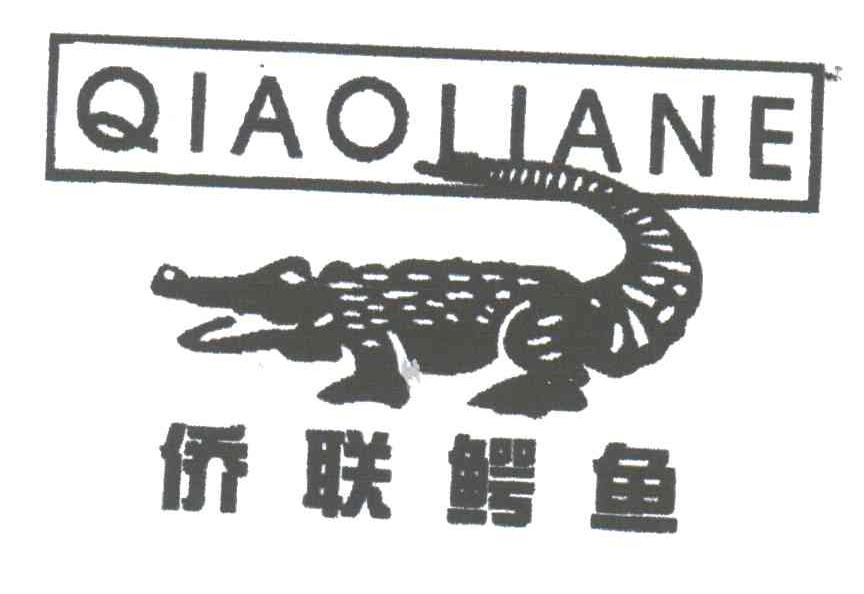 侨联鳄鱼;QIAOLIANE