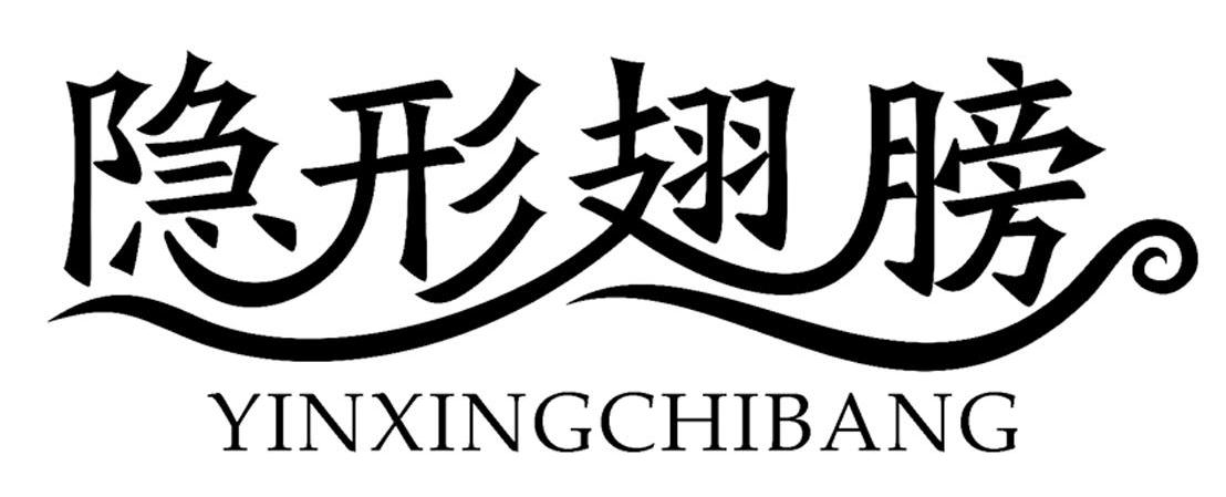 隐形翅膀