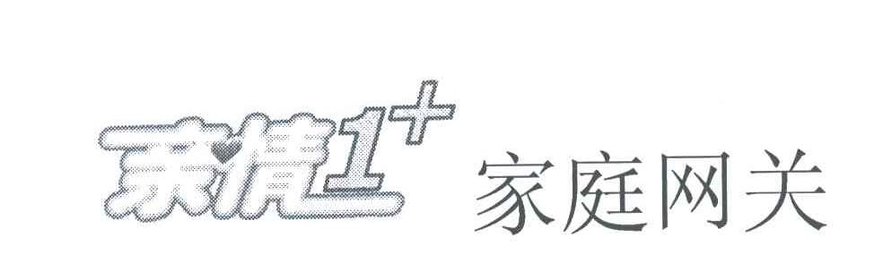 亲情家庭网关;1+