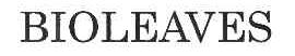 BIOLEAVES