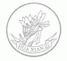 HUA XIAN ZI