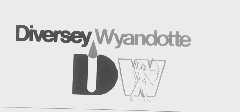 DIVERSEY WYANDOTTE