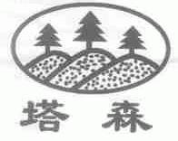 塔森