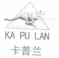卡普兰