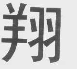 翔
