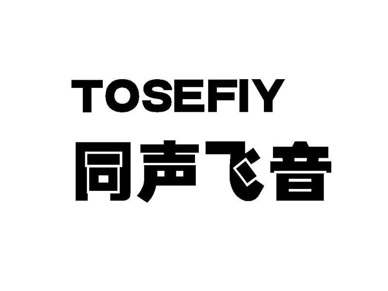 同声飞音 TOSEFIY