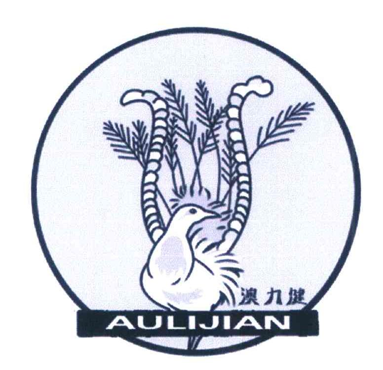 澳力健 AULIJIAN