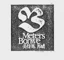 美特斯.邦威  METERS BONWE