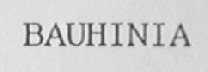 BAUHINIA
