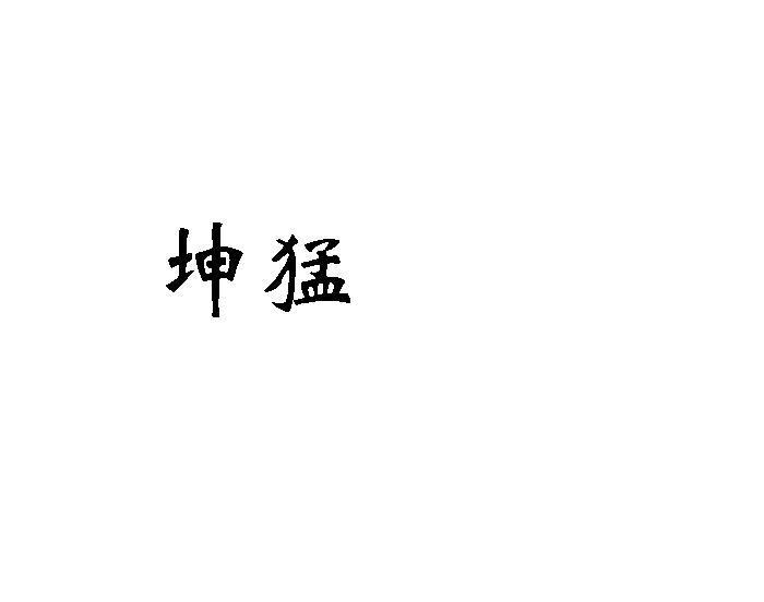 坤猛