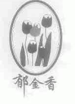 郁金香