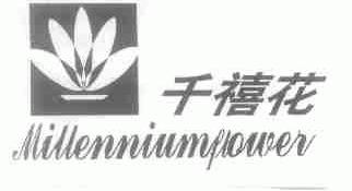 千禧花;MILLENNIUMFLOWER