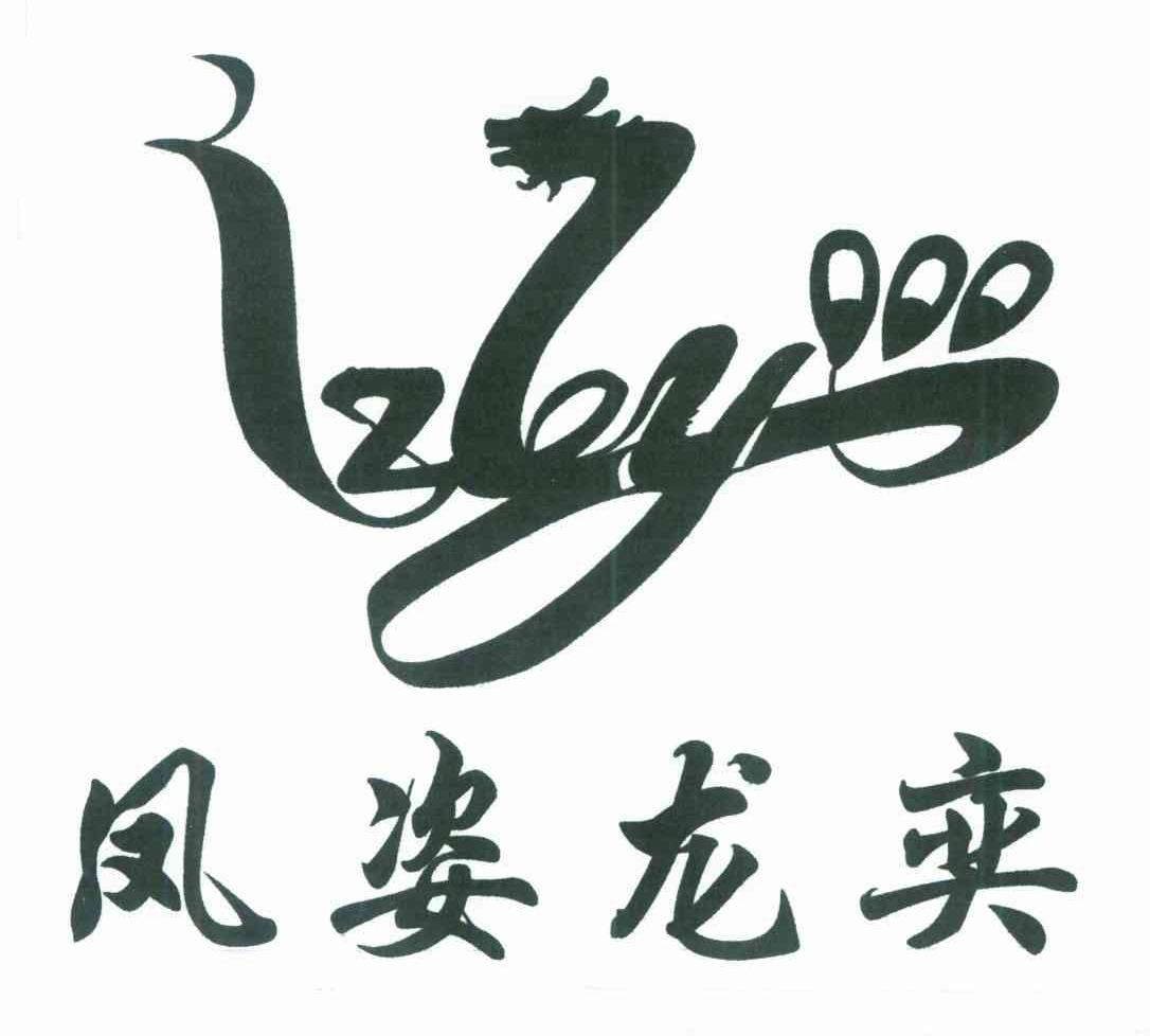 凤姿龙奕 FZLY