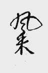 风采