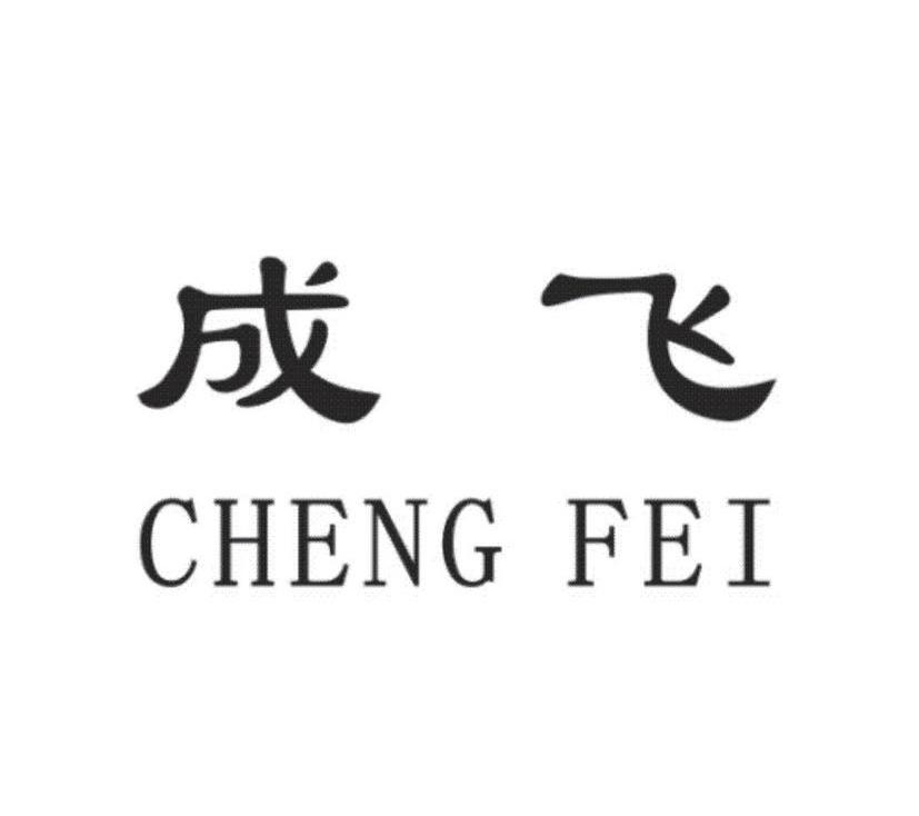 成飞