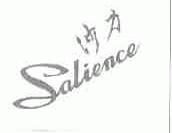 沙力;SALIENCE