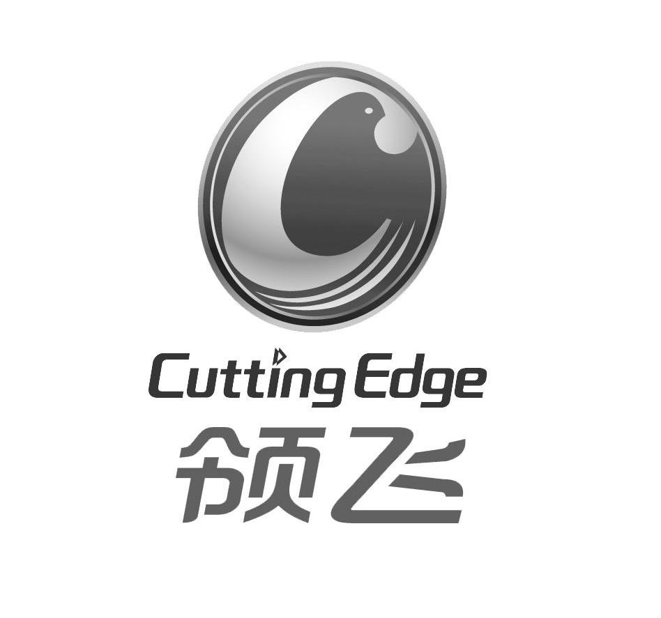 领飞 CUTTING EDGE