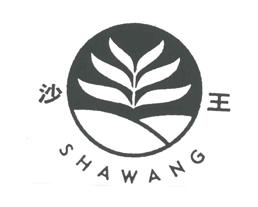 沙王