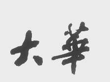 大华