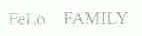 FELO FAMILY