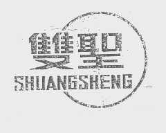 双圣