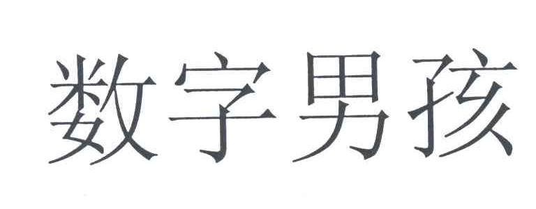 数字男孩