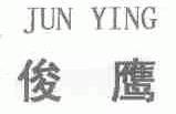 俊鹰