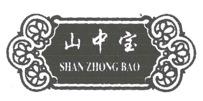 山中宝